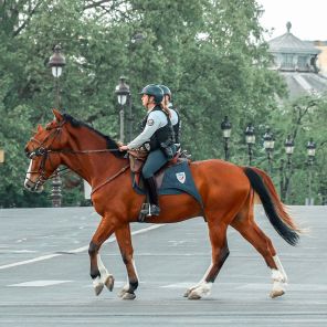 Sankom Patent Light Socks - skarpetki kompresyjne 2 +1