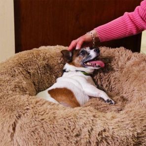 Peaceful Pooch - przytulne legowisko dla psa i kota